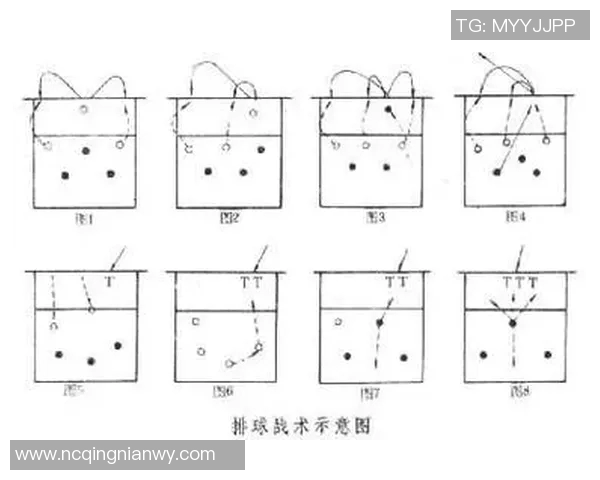 上海排球队的战术解析与深度控制策略探讨