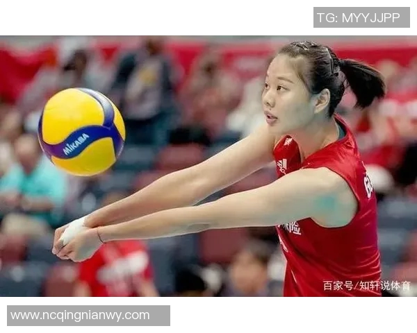 南京排球队实力强劲排球个人能力排行榜揭晓第5名荣誉