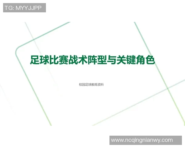 深圳足球队球员个人能力深度对比分析与战术影响探讨