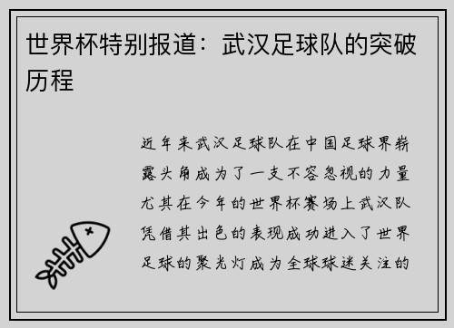 世界杯特别报道：武汉足球队的突破历程