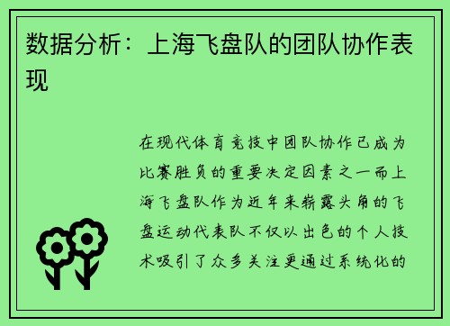 数据分析：上海飞盘队的团队协作表现