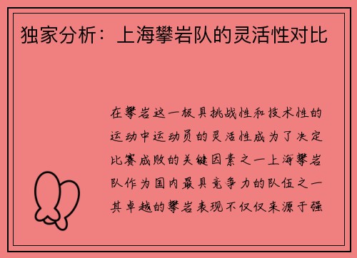独家分析：上海攀岩队的灵活性对比