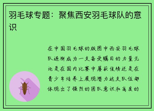 羽毛球专题：聚焦西安羽毛球队的意识
