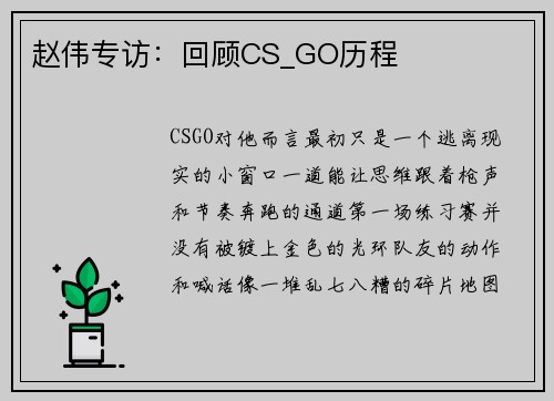 赵伟专访：回顾CS_GO历程